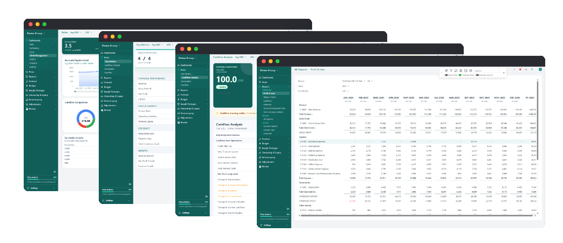 BrizoConsol outputs: consolidated P&L, group balance sheet, cash flow, intercompany eliminations, dashboards, and Pulse health score