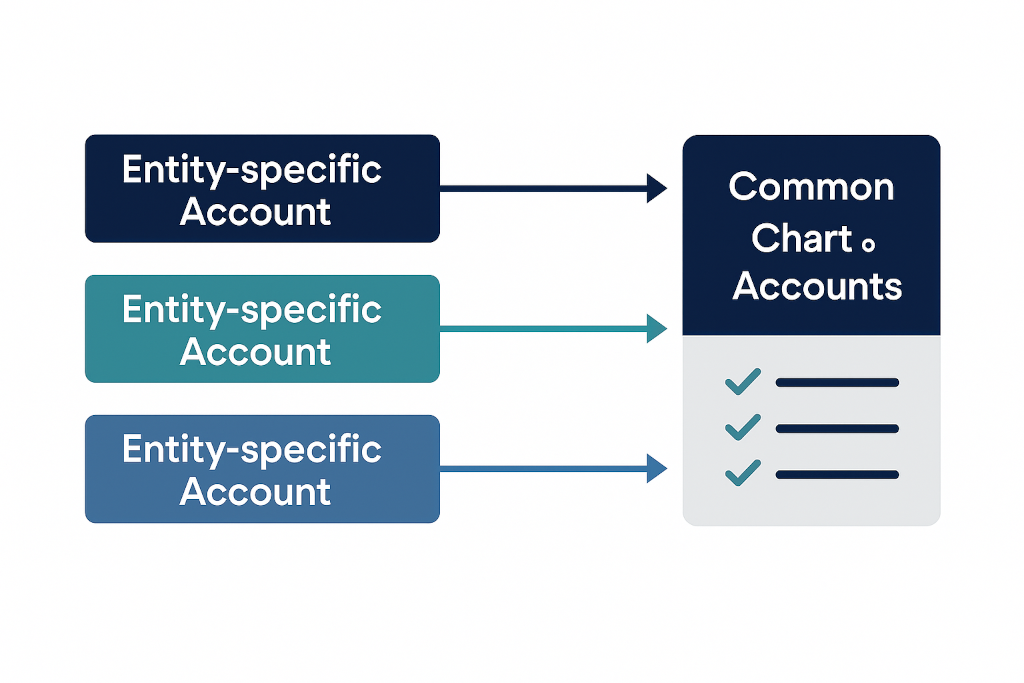 map each entity's local accounts to the ccoa