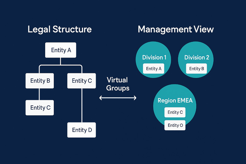 the gap between legal structure and management reporting