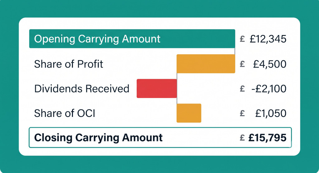 equity method annual carrying amount roll
