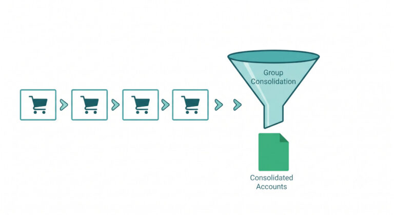 financial consolidation for e commerce groups