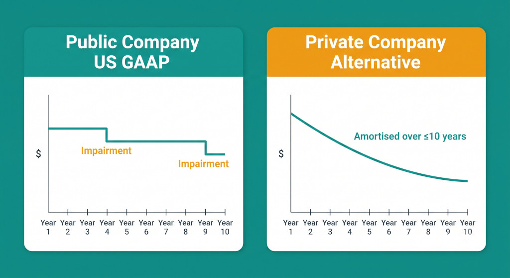goodwill public vs private company treatment