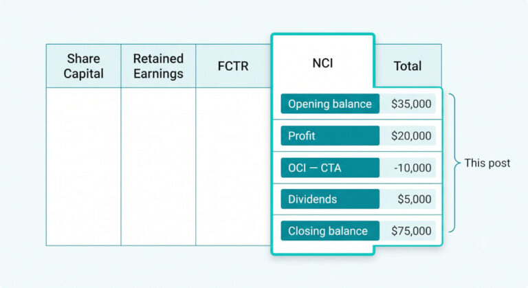 nci in the consolidated statement of changes in equity