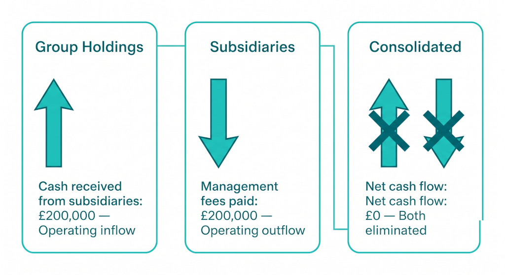 cash flow elimination
