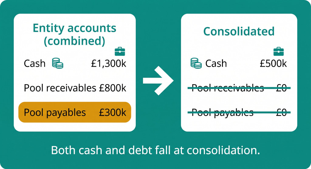 entity vs consolidated balance sheet comparison