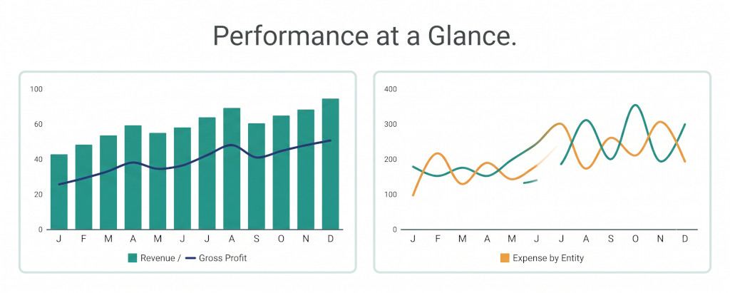 revenue & expense analysis
