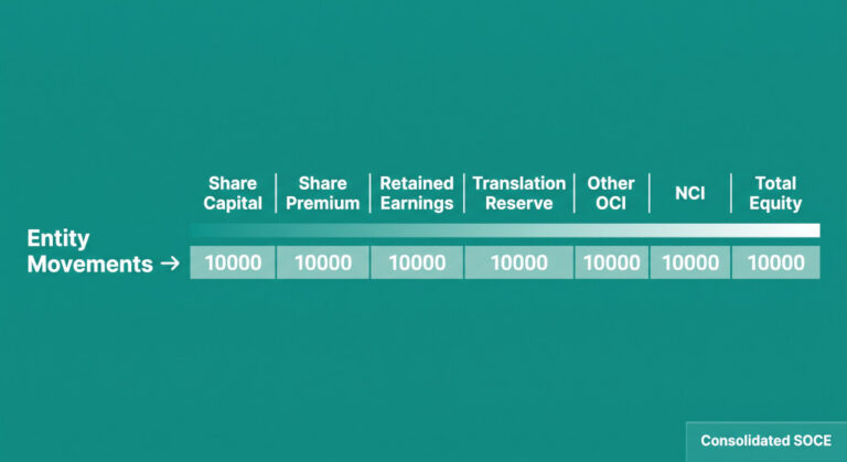 the consolidated statement of changes in equity