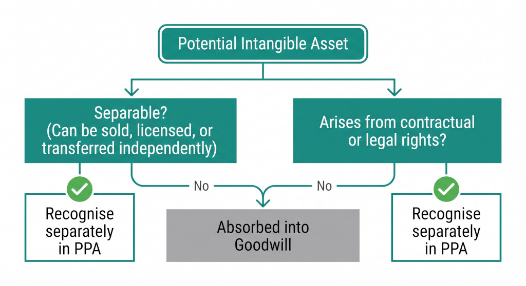 the intangible asset identifiability test