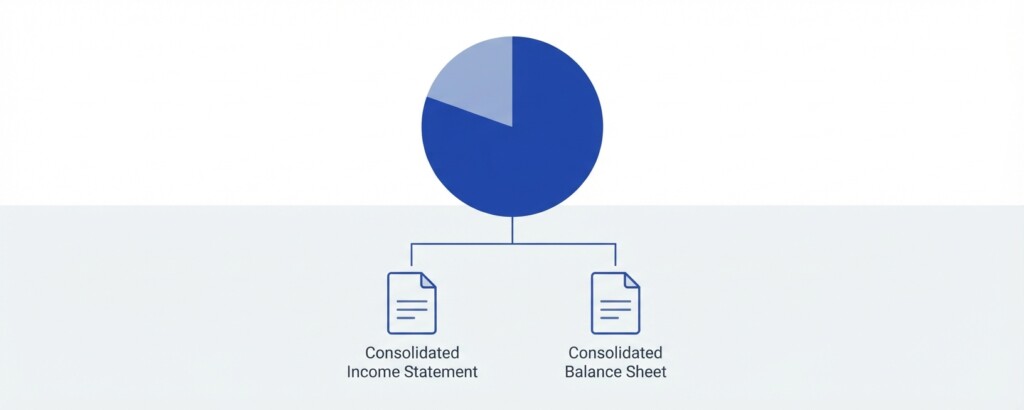 How to Consolidate a Multi-Entity SaaS Group When Each Subsidiary Uses a Different Accounting Platform - Second Section (1200x480)
